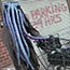 Gowanus Monster